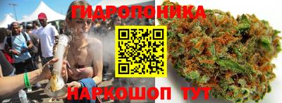 гашик Конаково