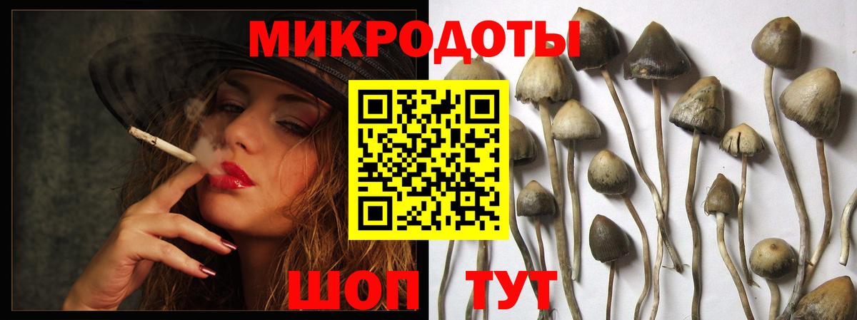 где продают наркотики  Галлюциногенные грибы Cubensis  Галлюциногенные грибы мухоморы  Вход с VPN  Великий Новгород 