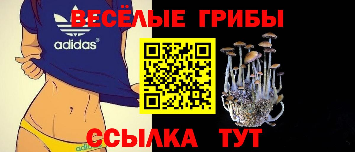 Галлюциногенные грибы прущие грибы Великий Новгород